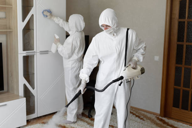 Best Mold Removal Process  in Hackensack, NJ