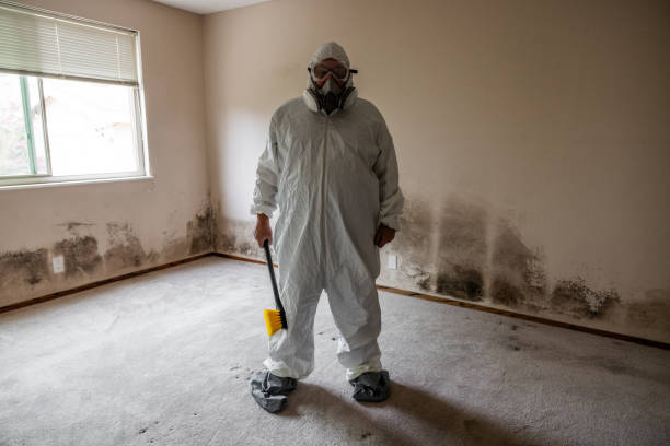 Office Mold Removal Services in Hackensack, NJ